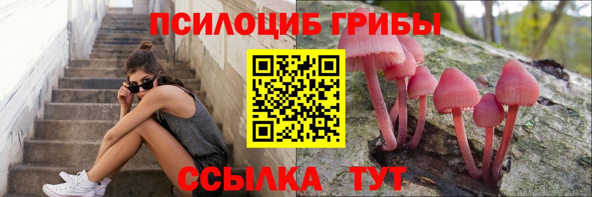 Галлюциногенные грибы мухоморы Берёзовский
